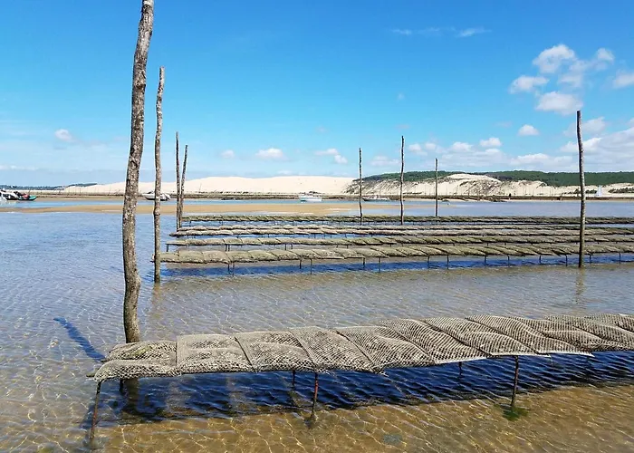 דירה T2 Centre Avec Balcon, 4 Couchages - Fr-1-474-286 *